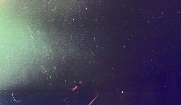 Скан пленочного зерна Ilford Delta 400pr