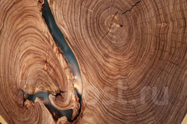 Слэб кедр карагач