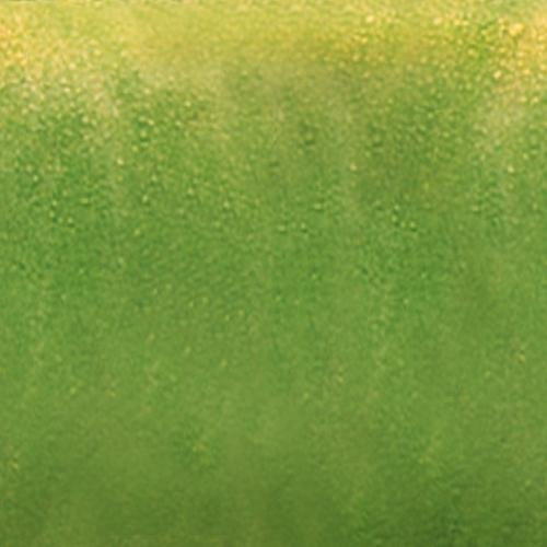 Текстура зеленого яблока