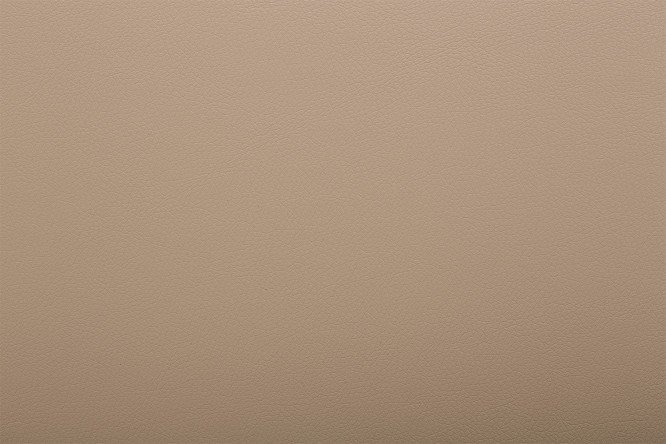 Бледно коричневый