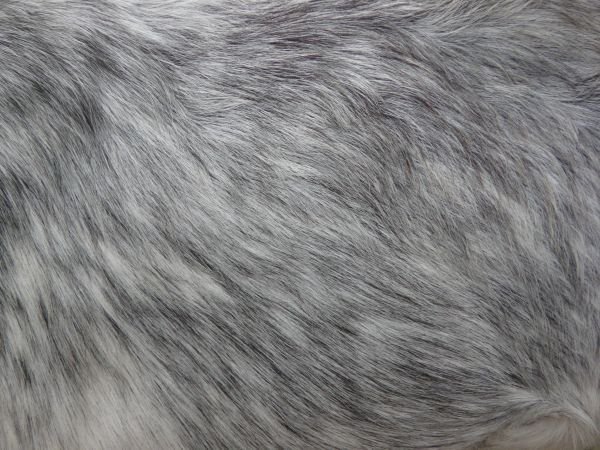 Шерсть зайца