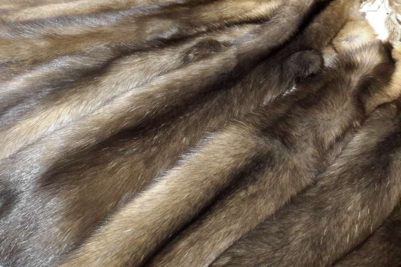 Соболь аукцион пушнина