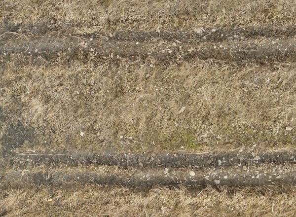 Текстура грунтовой дороги