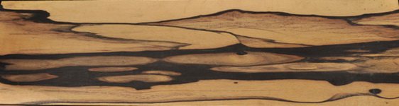 Эбен лунный шпон