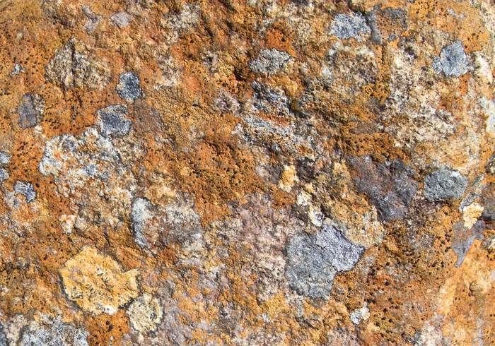 Известняк мраморизованный