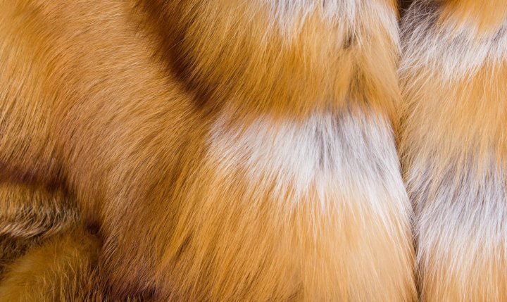 Шерсть животных