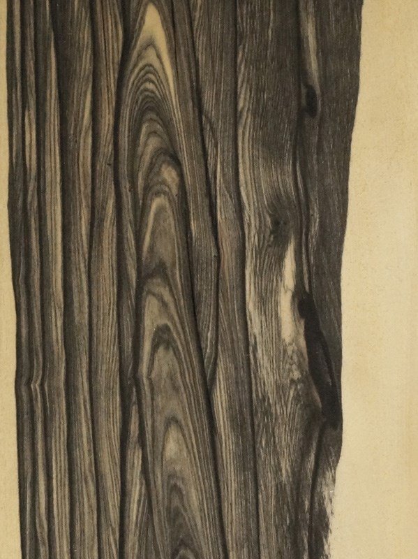 Шпон Файн-лайн Эбен лунный