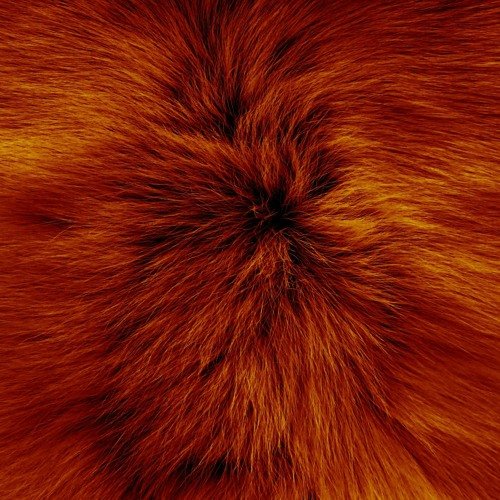 Текстура шерсти