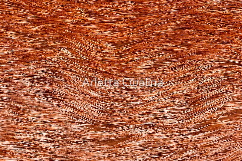 Рыжий мех