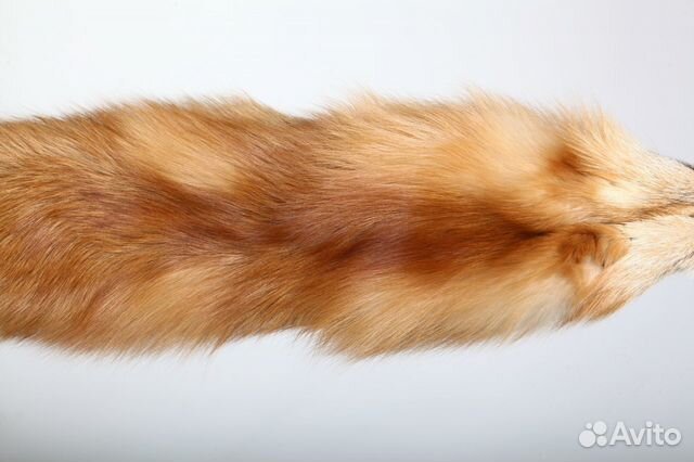 Шкурка из лисы