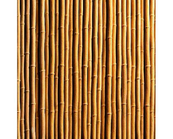Бамбуковая стена