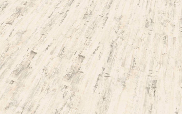 Ламинат береза беленая