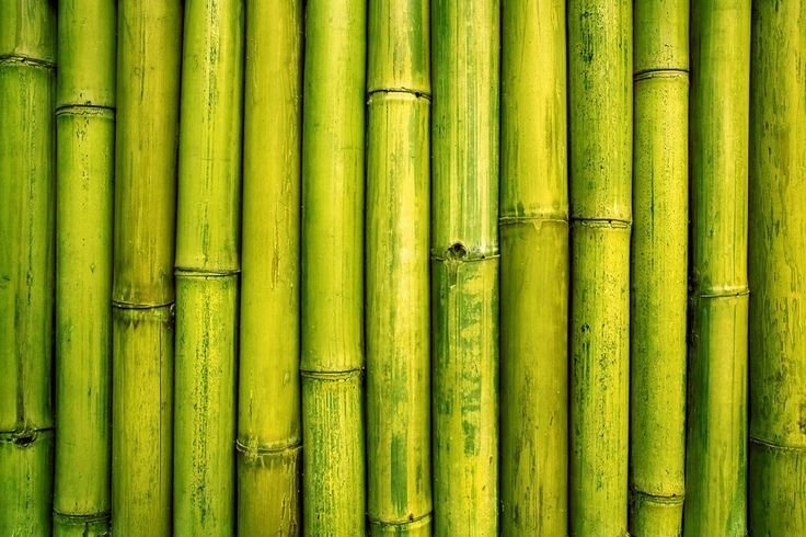 Бамбуковый стебель
