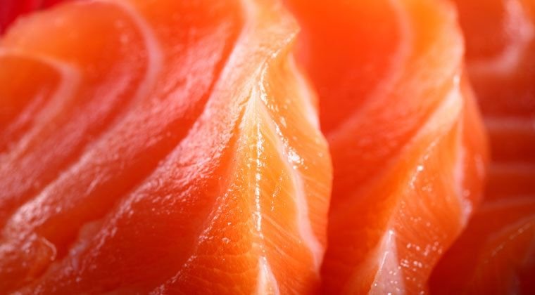 Лосось макро