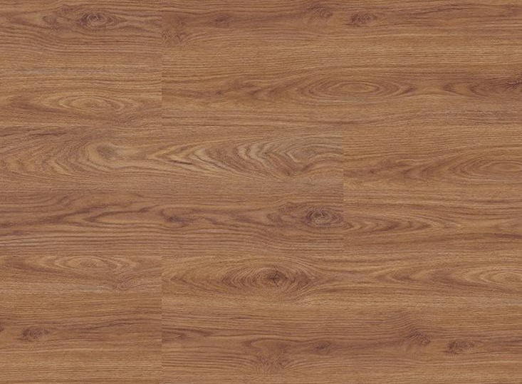 Discovery California 1 (4м.)