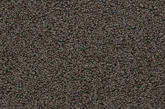 Tarkett ковролин драгон 10431