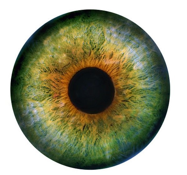 Зеленая радужка