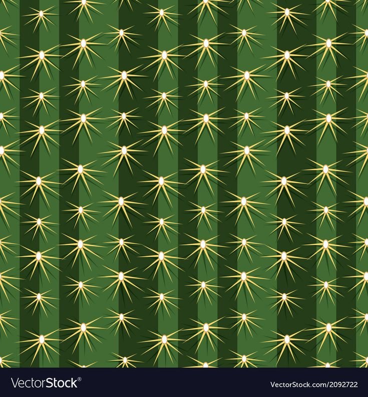 Кактус фактура