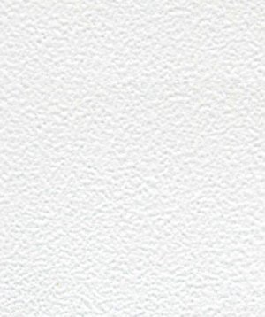 Порошковая краска шагрень 9003