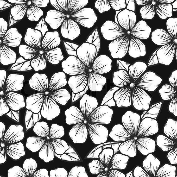 Принт цветы черно белый