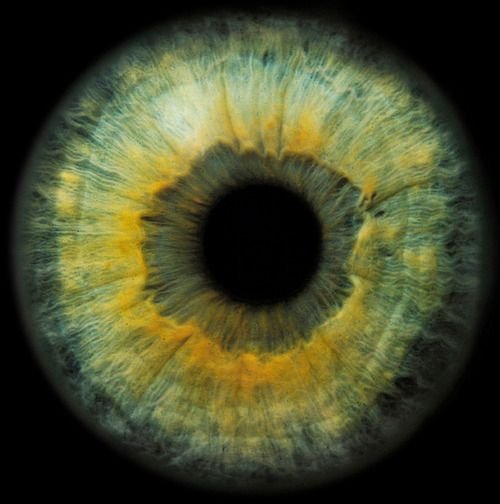 Красивые Радужки глаз