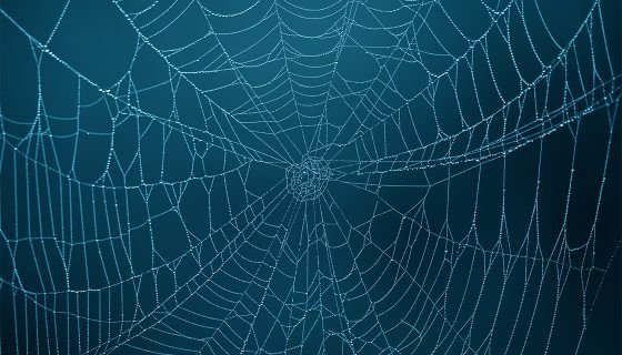 Паутина фон