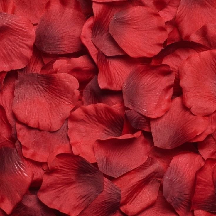 Красный цветок