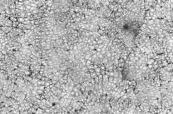 Фактура кракелюр