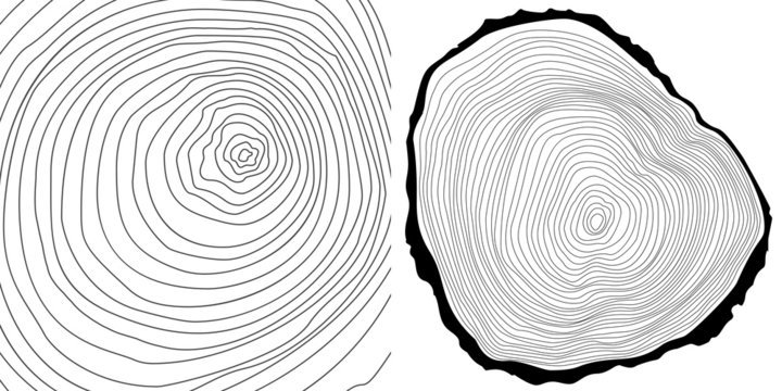 Срез дерева вектор