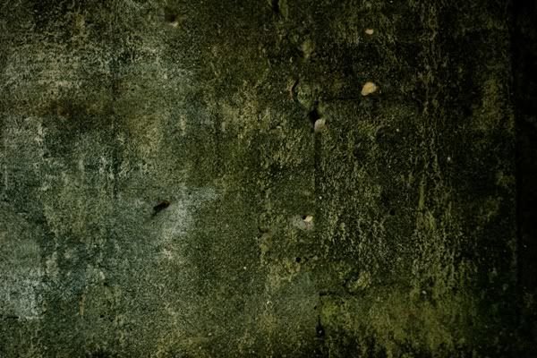 Текстура стены