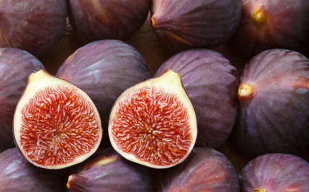 Инжир обыкновенный