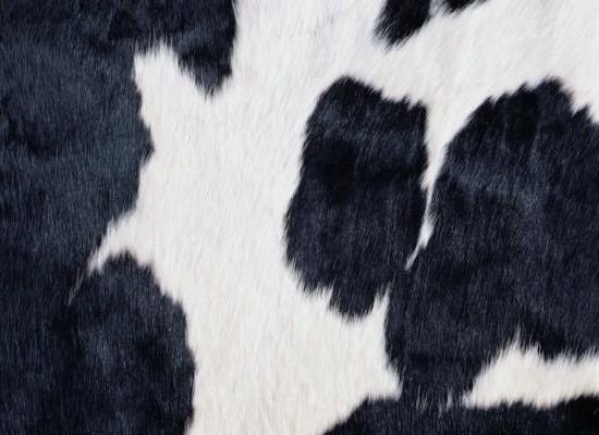 Текстура шкуры животных