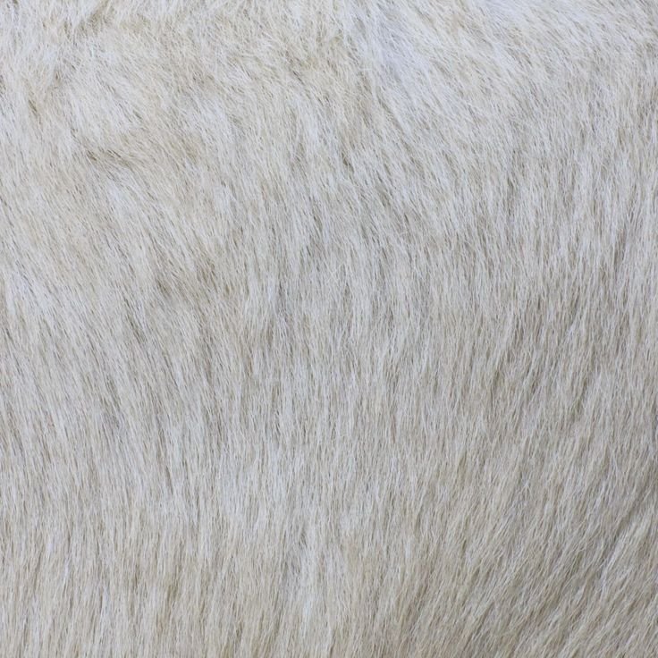 Текстура шерсти