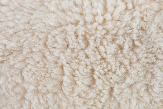 Овечья шерсть фактура
