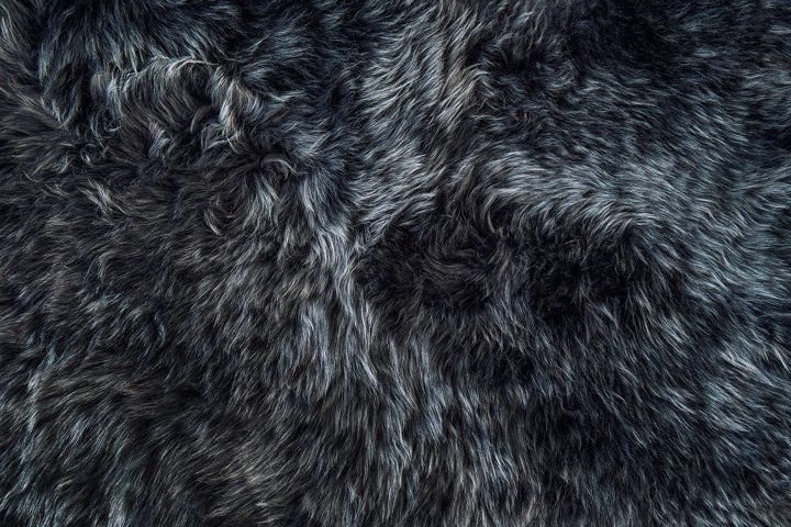 Овечья шерсть текстура