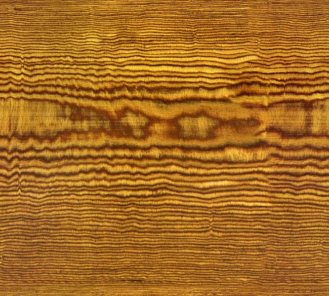Текстура древесины