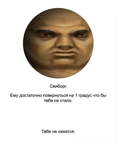 Свиборг Мем