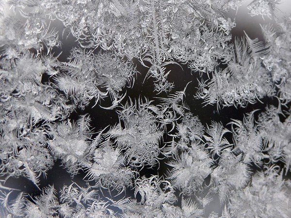 Морозные узоры