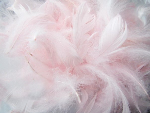 Розовые перья