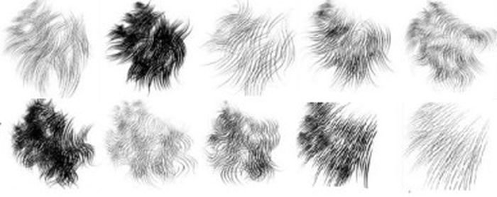 Шерсть животных