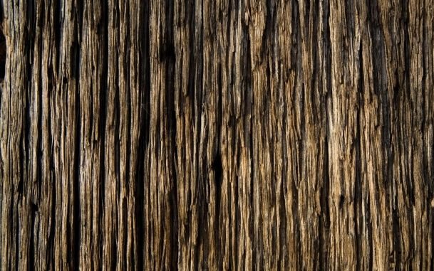 Структура дерева