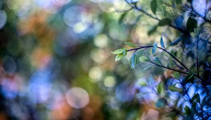 Весенний фон