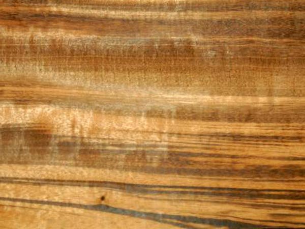 Дерево граб текстура