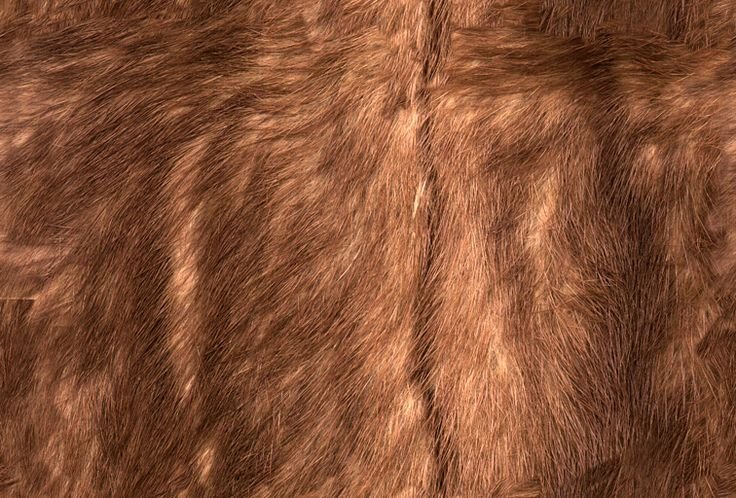 Шкура текстура