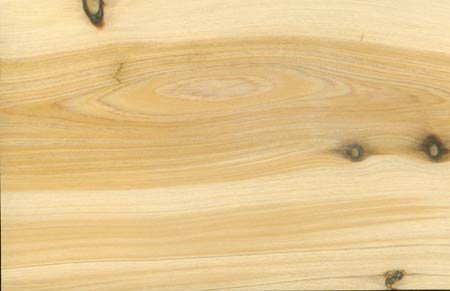 Кипарис цвет древесины