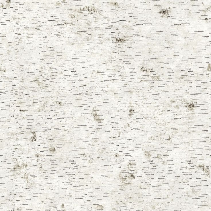 Текстура бересты