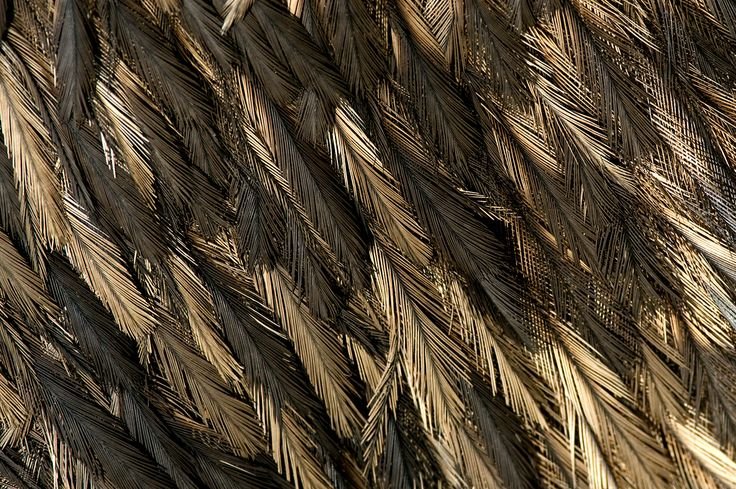 Фактура перьев