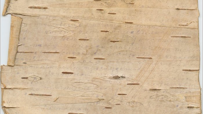 Береста кора березы