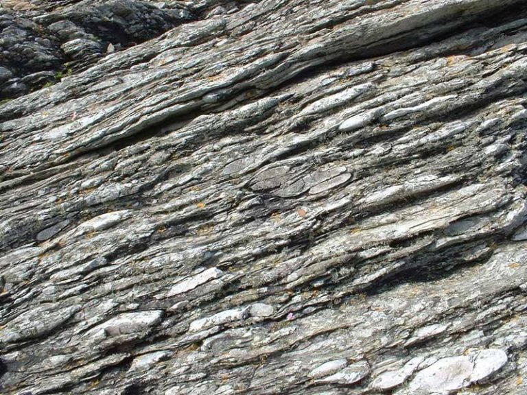 Углисто-глинистые сланцы