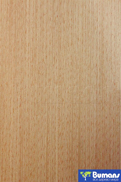 Шпон Файн лайн дуб радиальный